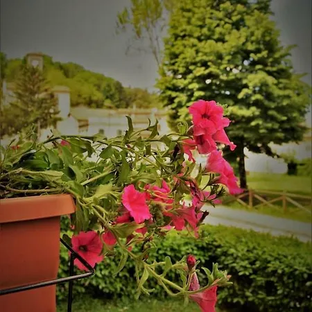 Nonna Mary * San Piero a Sieve