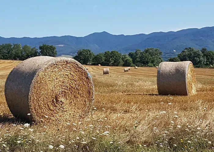 Nonna Mary San Piero a Sieve
